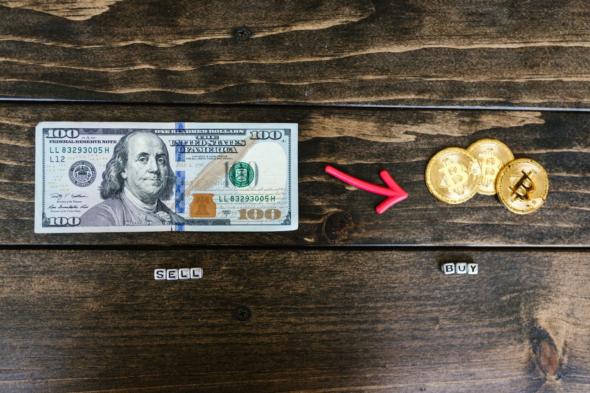 A person happily looking at a laptop screen displaying a 'You earned $100' notification, symbolizing making their first $100 online.